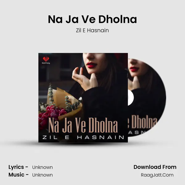Na Ja Ve Dholna MP3 Song by Zil E Hasnain Cover