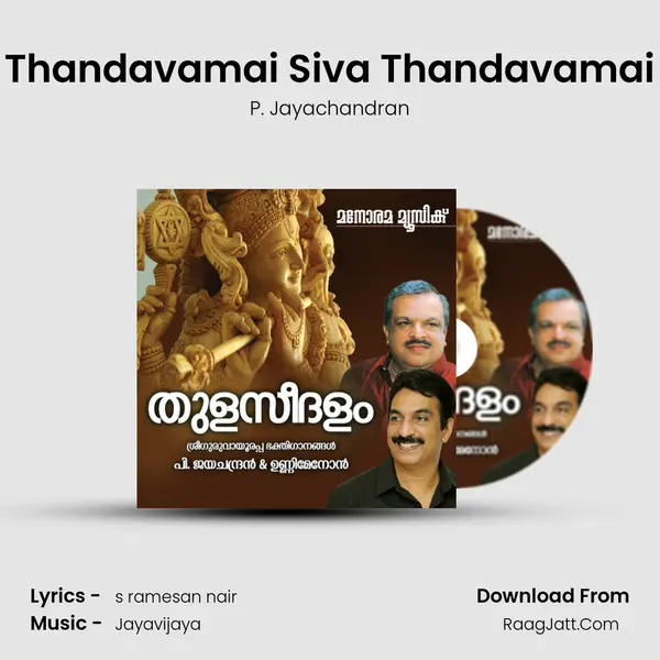 Thandavamai Siva Thandavamai MP3 Song by P. Jayachandran Cover