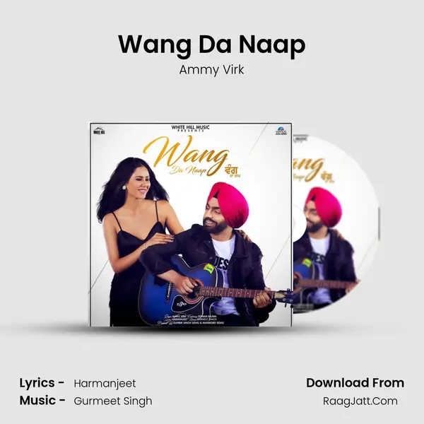 Wang Da Naap Cover