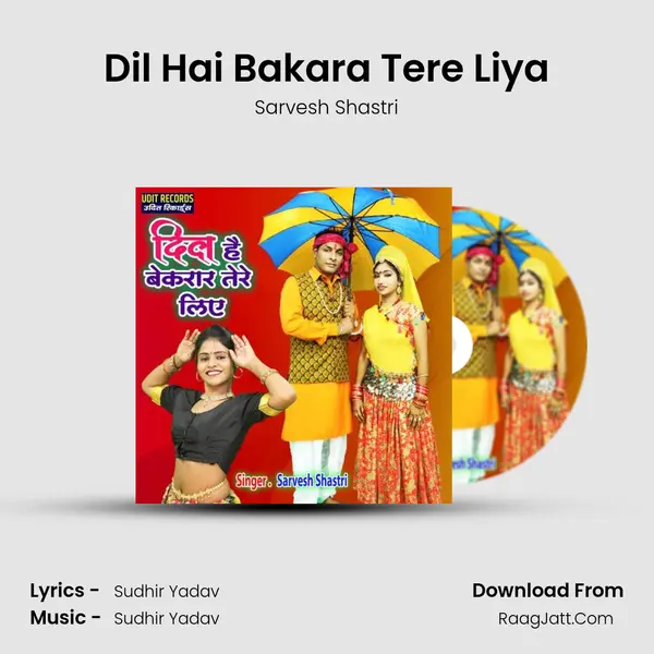 Dil Hai Bakara Tere Liya Cover