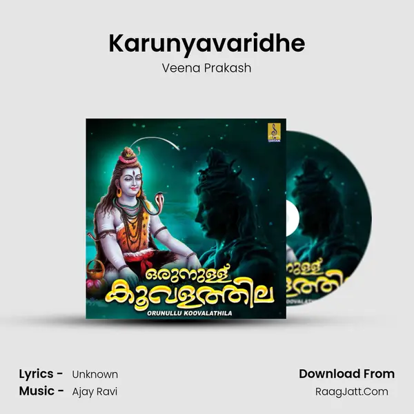 Karunyavaridhe MP3 Song by Veena Prakash Cover