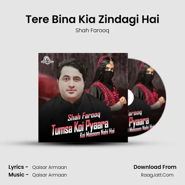 Tere Bina Kia Zindagi Hai mp3 song