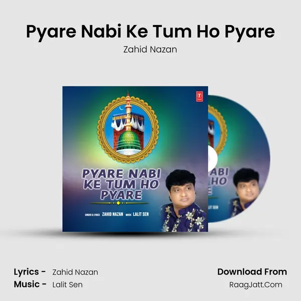 Pyare Nabi Ke Tum Ho Pyare mp3 song