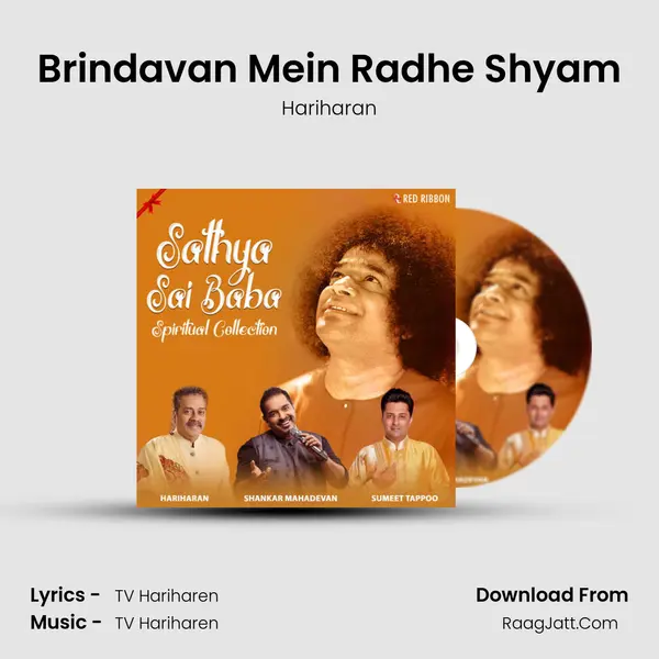 Brindavan Mein Radhe Shyam Cover