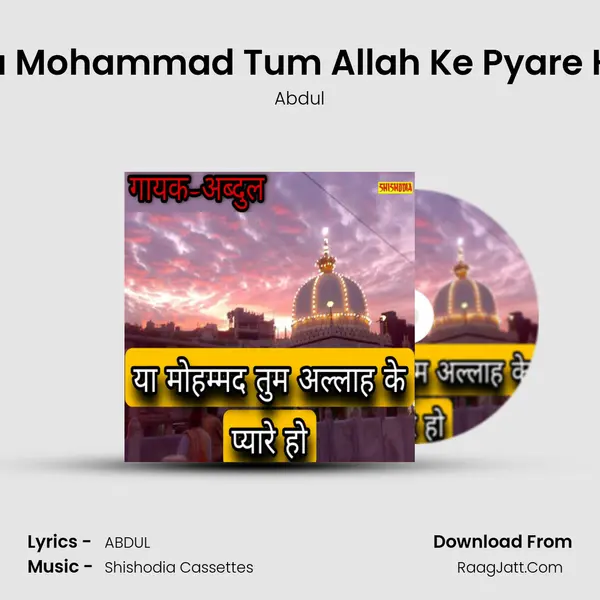Ya Mohammad Tum Allah Ke Pyare Ho - Abdul