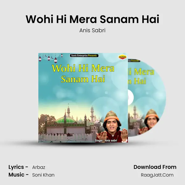 Wohi Hi Mera Sanam Hai - Anis Sabri
