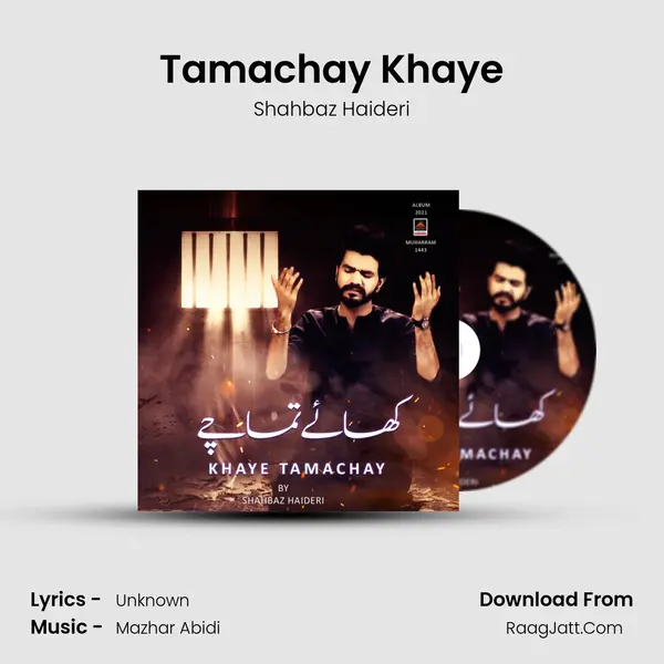 Tamachay Khaye MP3 Song by Shahbaz Haideri Cover