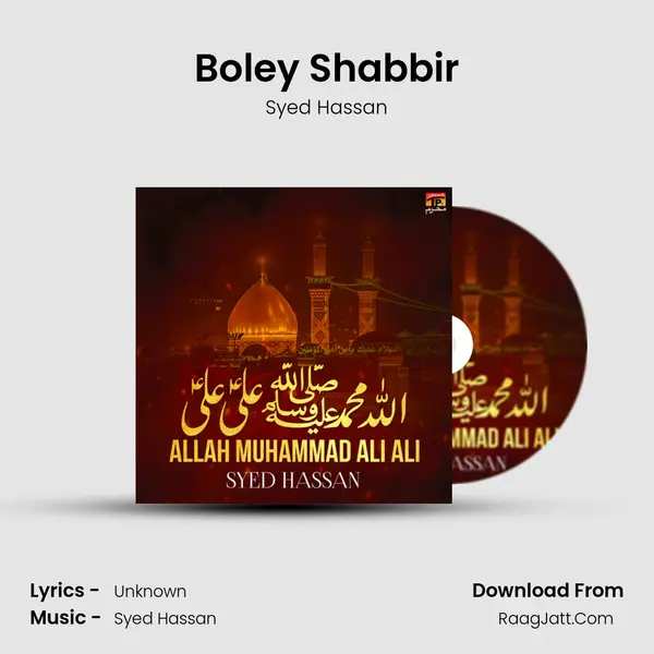 Boley Shabbir MP3 Song by Syed Hassan Cover