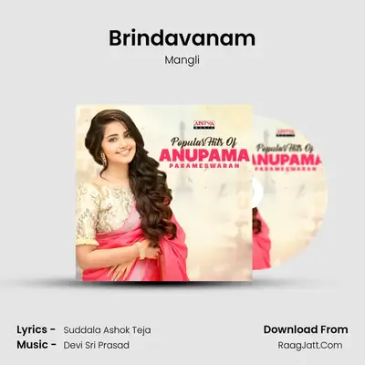 Brindavanam Cover