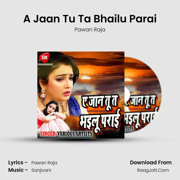 A Jaan Tu Ta Bhailu Parai MP3 Song by Pawan Raja Cover
