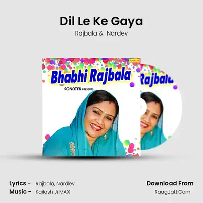 Dil Le Ke Gaya Cover