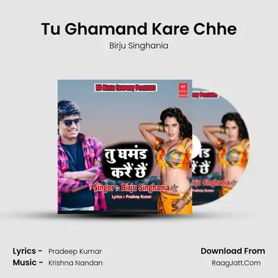 Tu Ghamand Kare Chhe - 