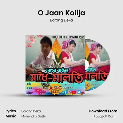 O Jaan Kolija MP3 Song by Borang Deka Cover