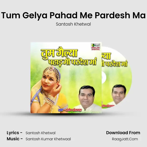 Tum Gelya Pahad Me Pardesh Ma mp3 song