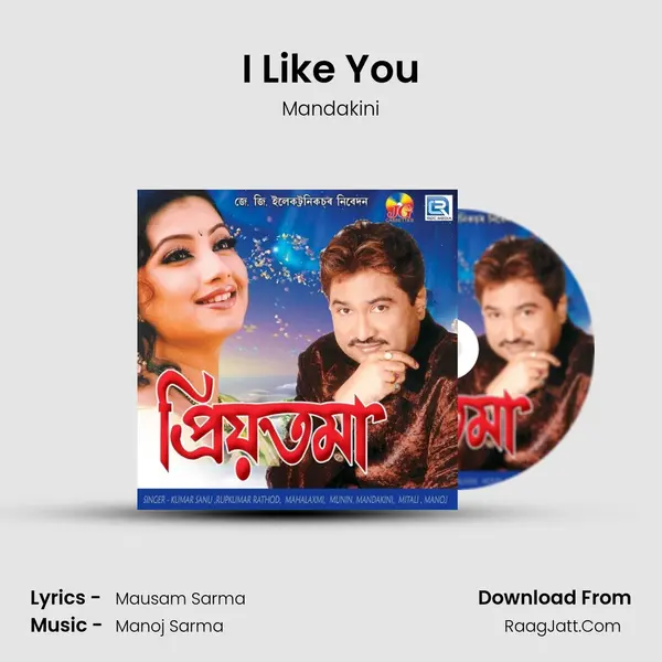 I Like You MP3 Song by Mandakini Cover