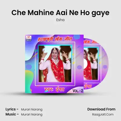 Che Mahine Aai Ne Ho gaye Cover