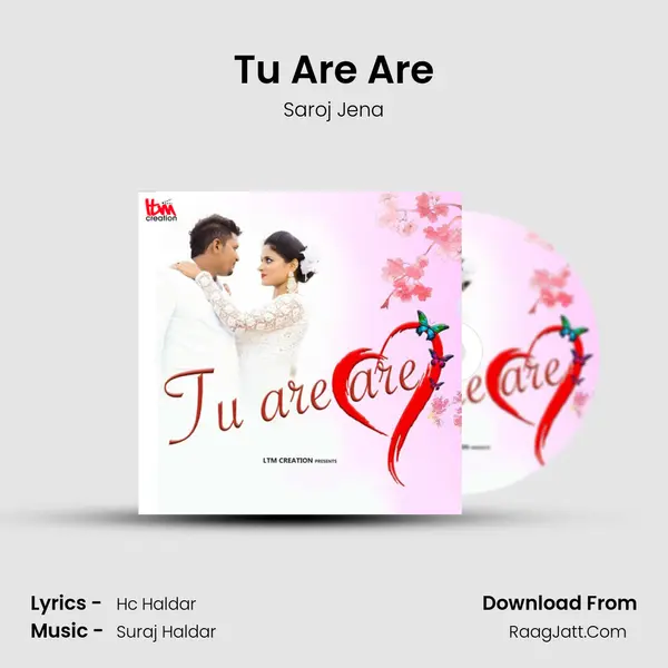 Tu Are Are MP3 Song by Saroj Jena Cover
