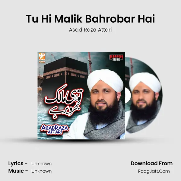 Tu Hi Malik Bahrobar Hai - Single - 