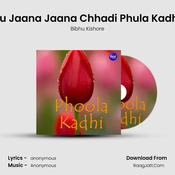 Tu Jaana Jaana Chhadi Phula Kadhi MP3 Song by Bibhu Kishore Cover