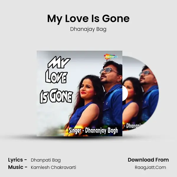 My Love Is Gone - Dhanajay Bag