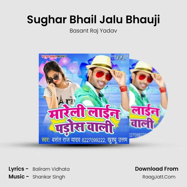 Sughar Bhail Jalu Bhauji MP3 Song by Basant Raj Yadav Cover