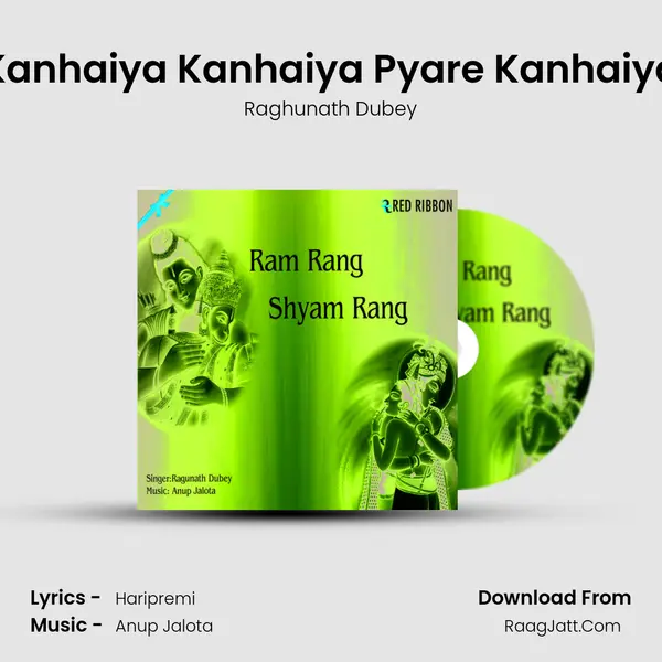 Kanhaiya Kanhaiya Pyare Kanhaiya MP3 Song by Raghunath Dubey Cover