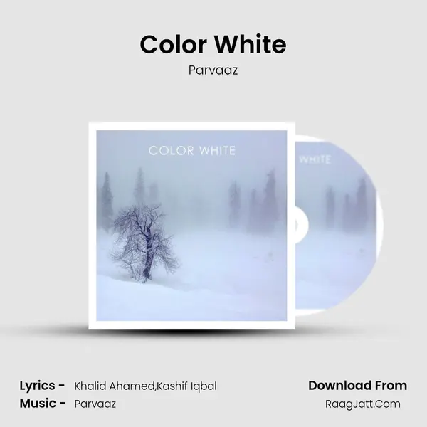 Color White mp3 song