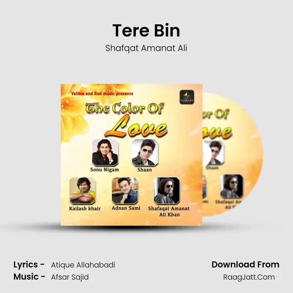 Tere Bin mp3 song