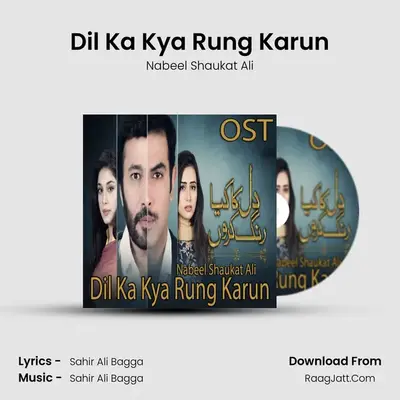 Dil Ka Kya Rung Karun MP3 Song by Nabeel Shaukat Ali Cover