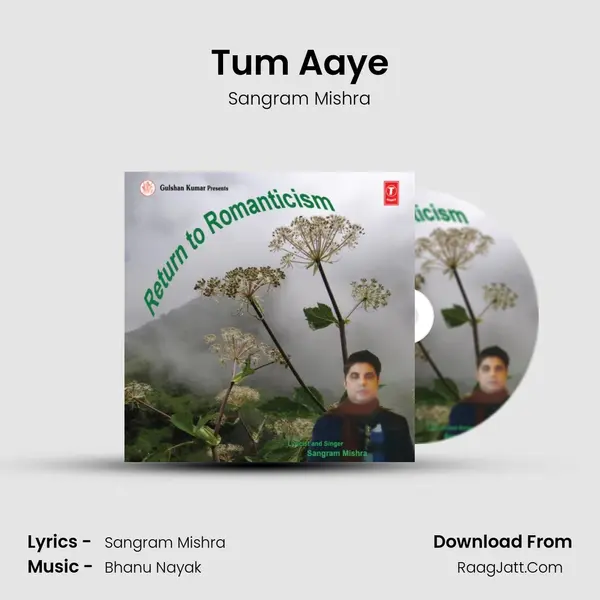 Tum Aaye mp3 song
