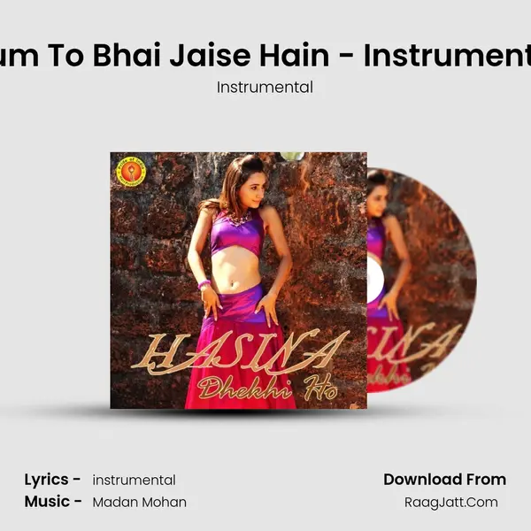 Hum To Bhai Jaise Hain - Instrumental MP3 Song by Instrumental Cover