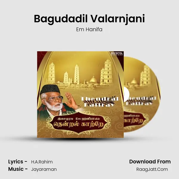Em Hanifa