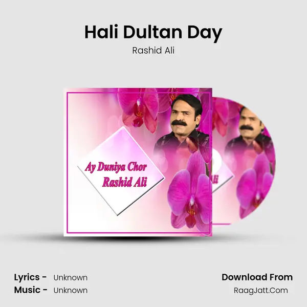 Hali Dultan Day MP3 Song by Rashid Ali Cover