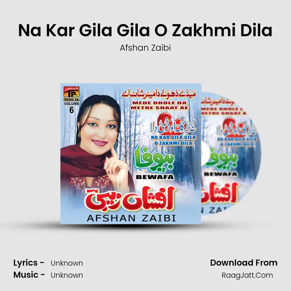 Na Kar Gila Gila O Zakhmi Dila MP3 Song by Afshan Zaibi Cover