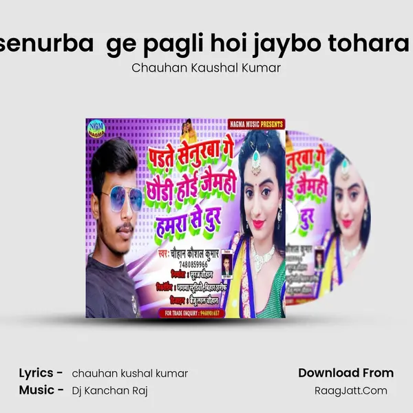 parte senurba  ge pagli hoi jaybo tohara se dur mp3 song
