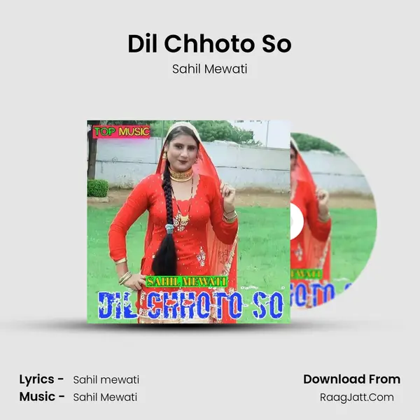 Dil Chhoto So - Sahil Mewati