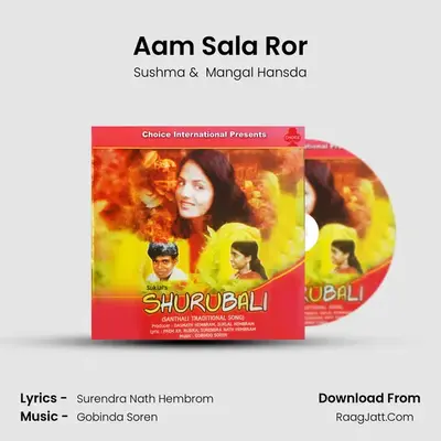 Aam Sala Ror MP3 Song by Sushma Cover