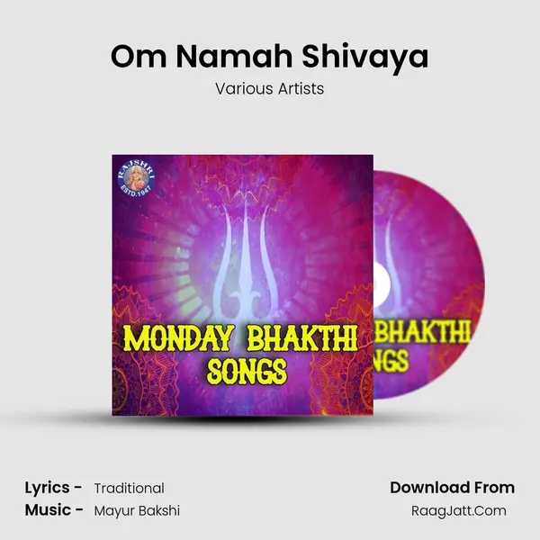 Om Namah Shivaya Cover
