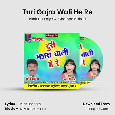 Turi Gajra Wali He Re MP3 Song by Punit Dahariya Cover