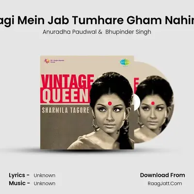 Zindagi Mein Jab Tumhare Gham Nahin The Cover