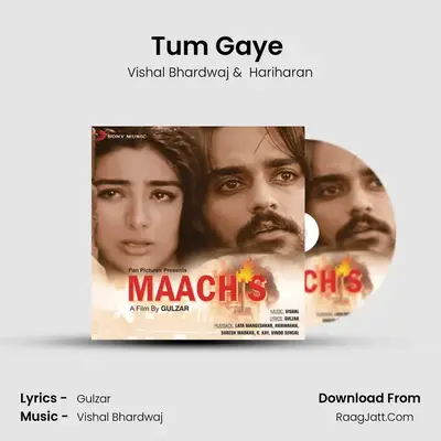 Tum Gaye (Male Version) MP3 Song by Vishal Bhardwaj Cover