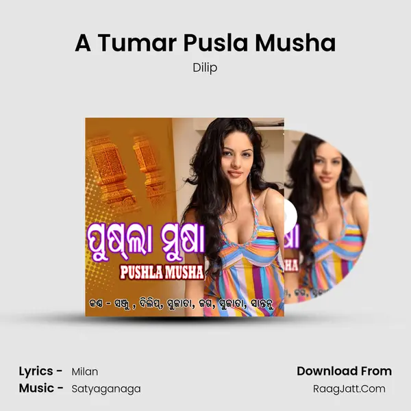 A Tumar Pusla Musha MP3 Song by Dilip Cover