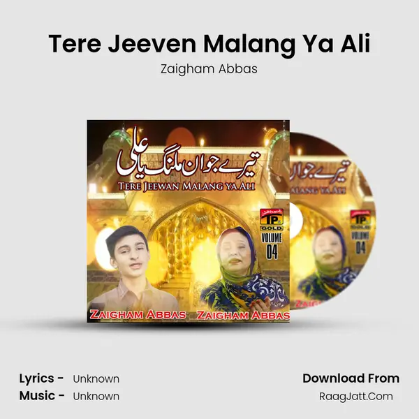 Tere Jeeven Malang Ya Ali MP3 Song by Zaigham Abbas Cover