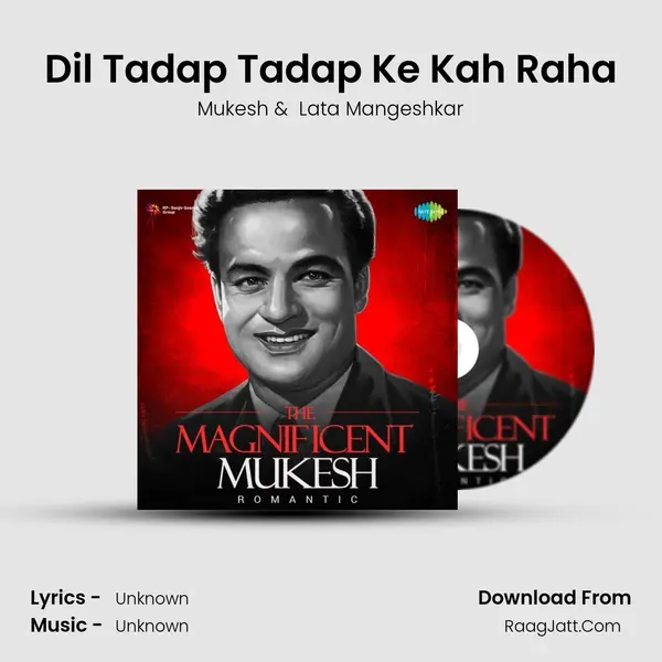 Dil Tadap Tadap Ke Kah Raha Cover