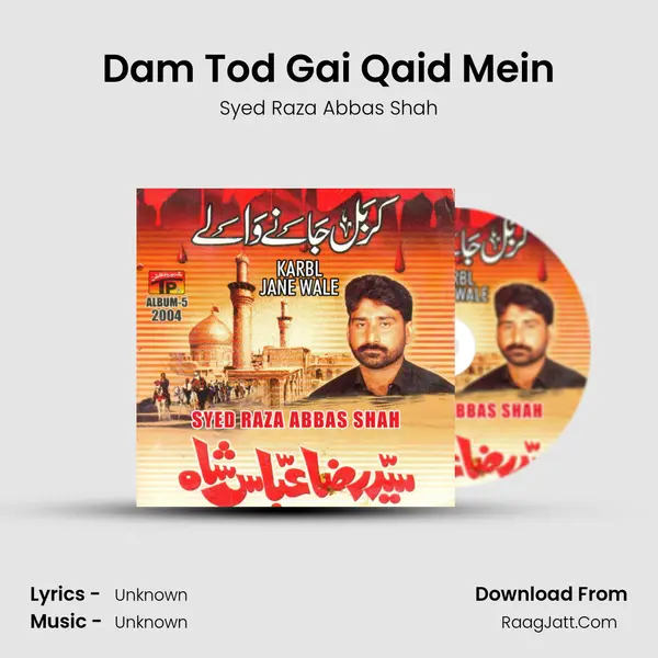 Dam Tod Gai Qaid Mein MP3 Song by Syed Raza Abbas Shah Cover