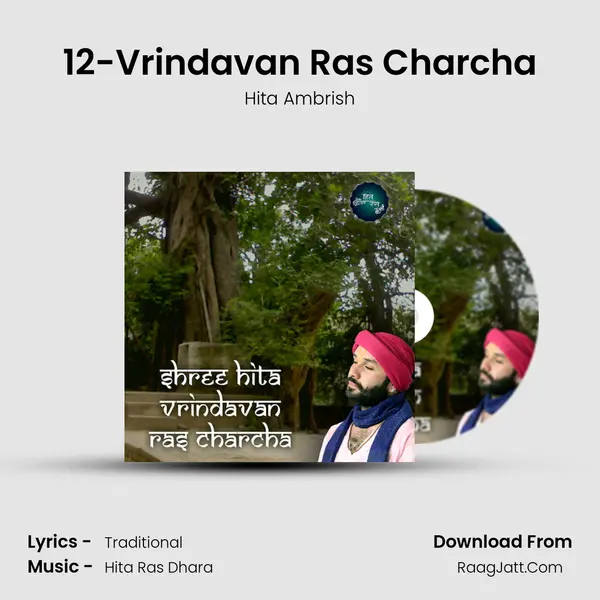 12-Vrindavan Ras Charcha MP3 Song by Hita Ambrish Cover