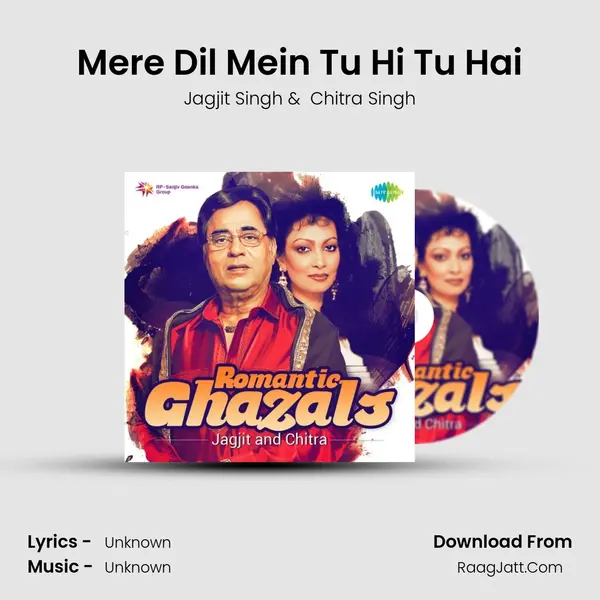 Mere Dil Mein Tu Hi Tu Hai Cover