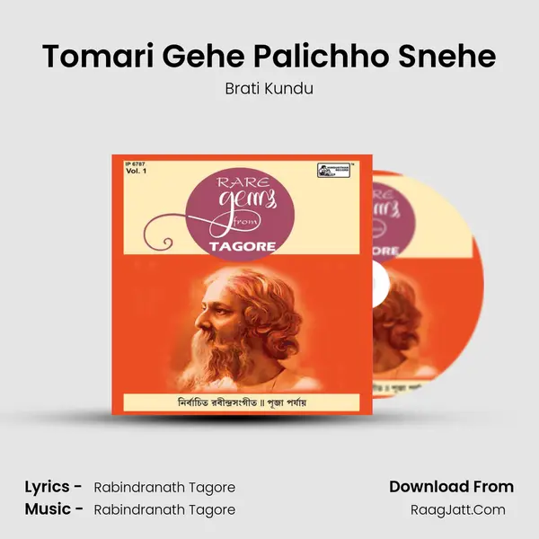 Tomari Gehe Palichho Snehe MP3 Song by Brati Kundu Cover