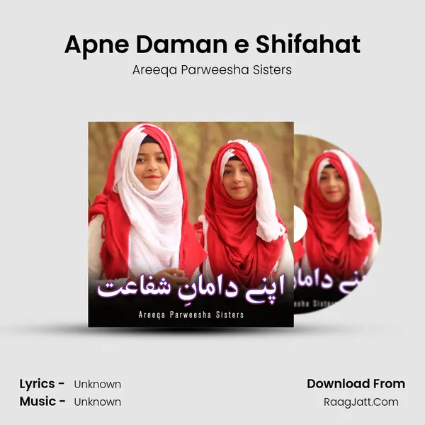 Apne Daman e Shifahat mp3 song
