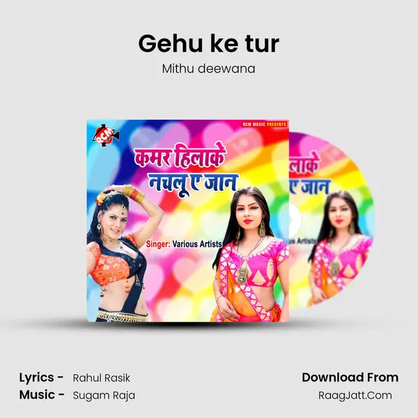 Gehu ke tur MP3 Song by Mithu deewana Cover
